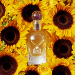 A 100 ml Nick´s Sunflower bottle lying on a bed of sunflowers.