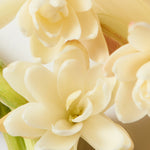 White tuberose detail.